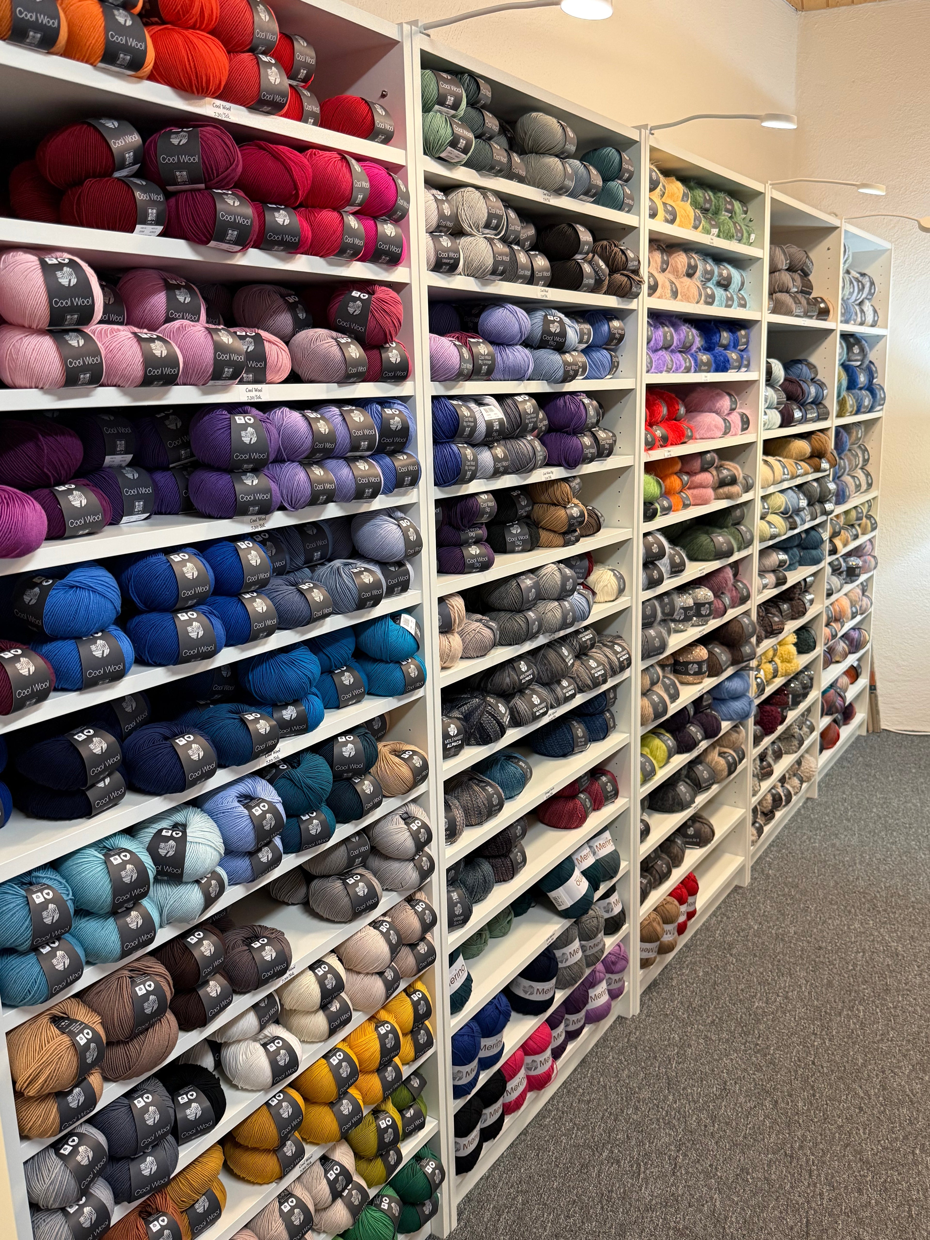 Newsletter #2 Januar 2026