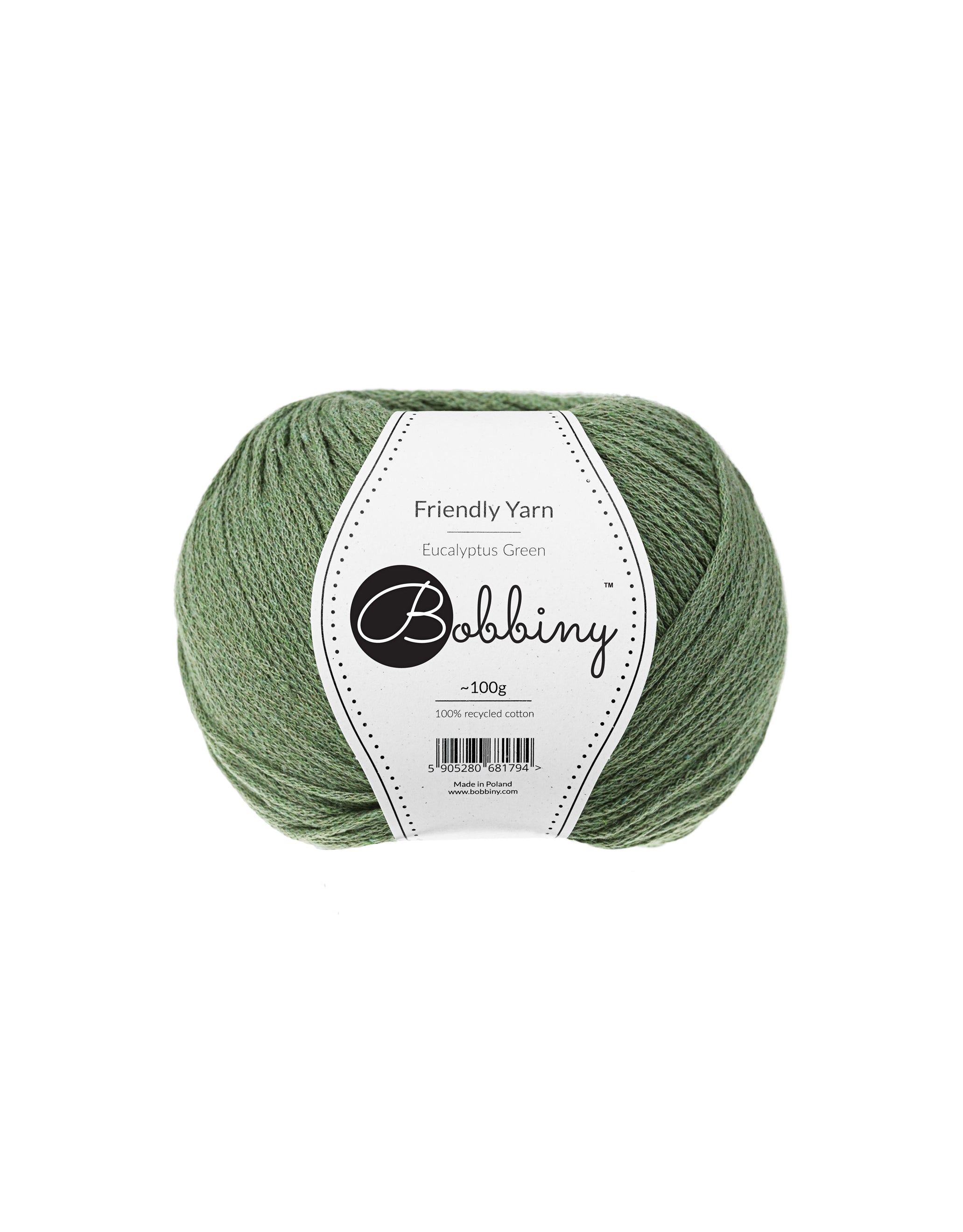Friendly Yarn 4mm 100g - Eucalyptus Green