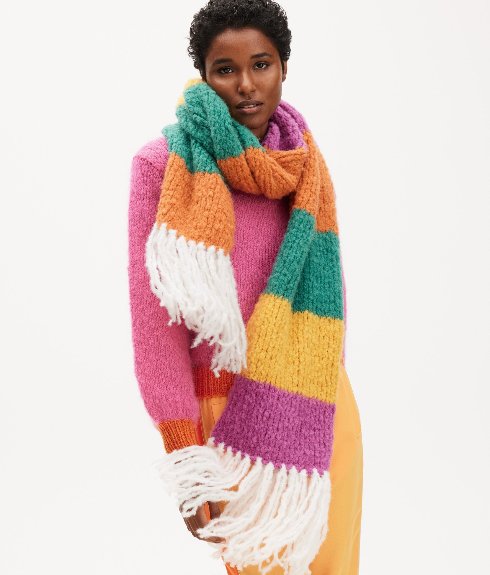 SCHAL · ROYAL ALPACA